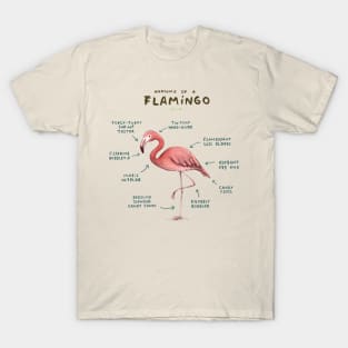 Anatomy of a Flamingo T-Shirt